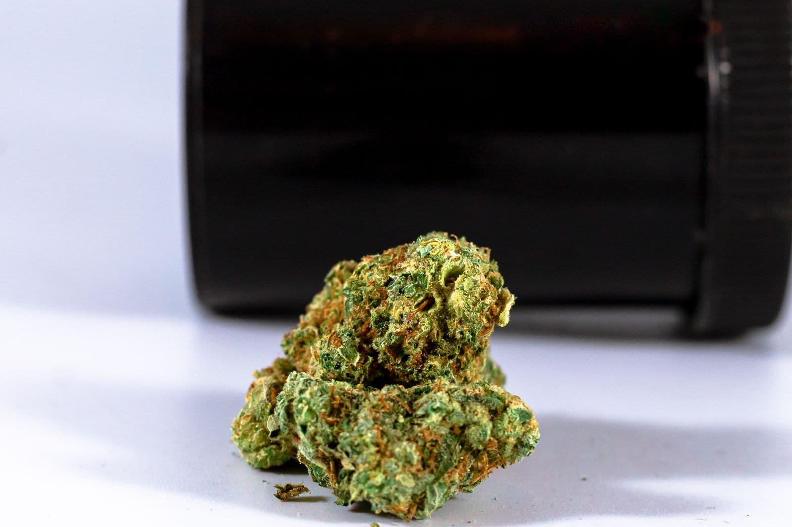 Getrocknete Cannabisblüten auf weißem Untergrund